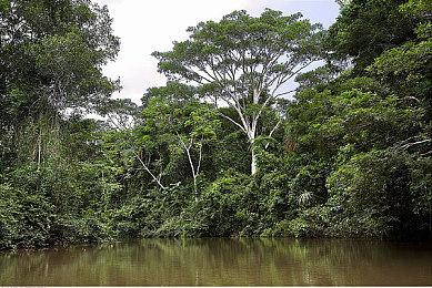 2D横版动作射击游戏的合集《二战前线合集》Steam页面上线 7月24日发售